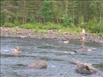 Sweden 2006-07 112
